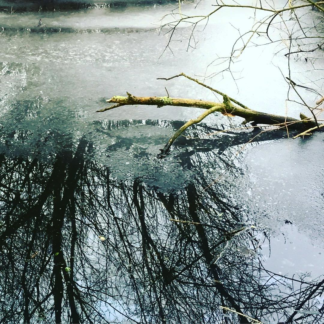 Appropriation : Reflections and Shadows