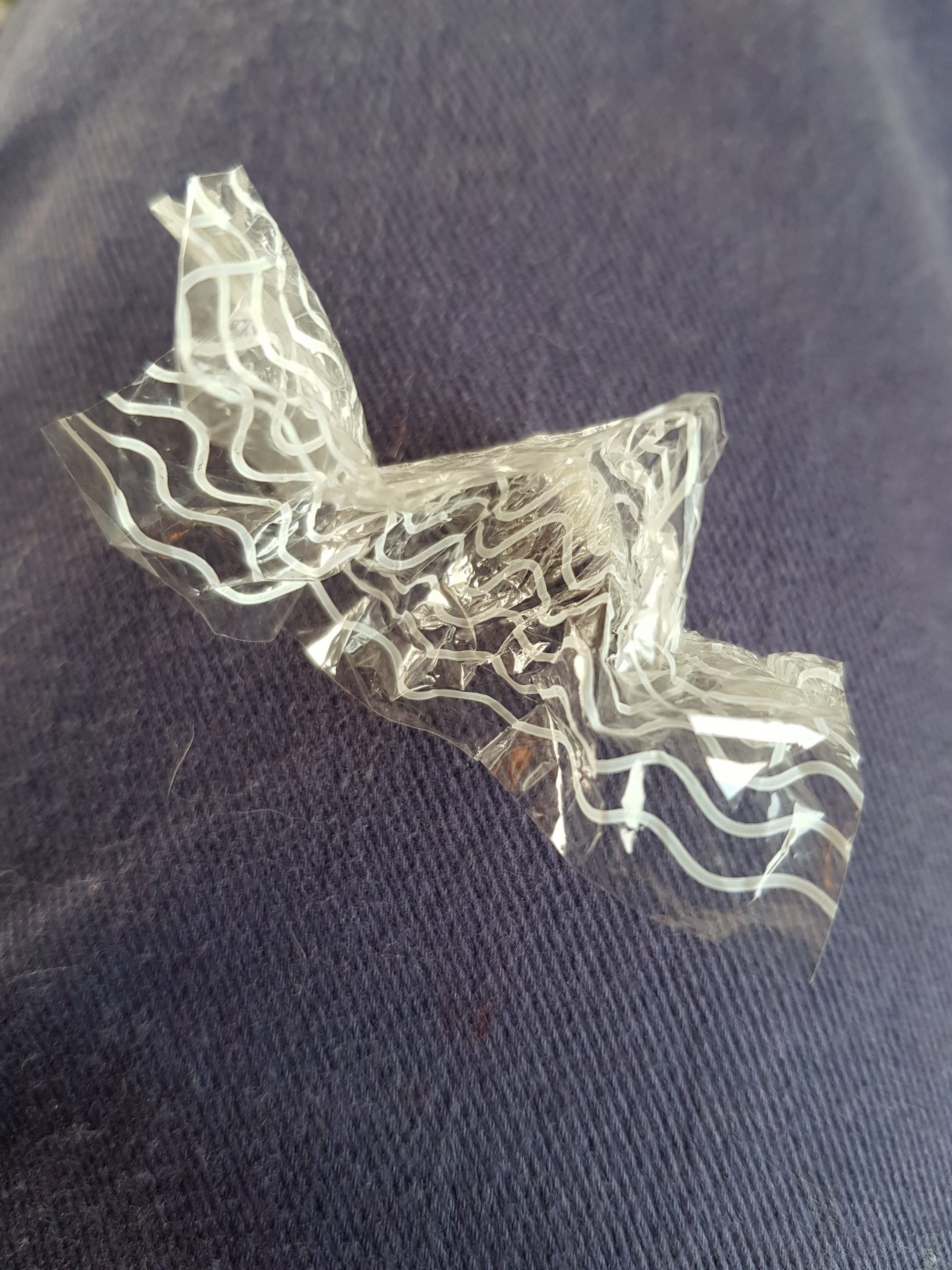 051217 Bryony Gillard