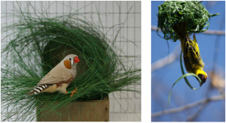 Prep for new Exhibition